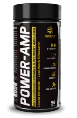 Raisey's POWER-AMP Performance & Recovery Amplifier
